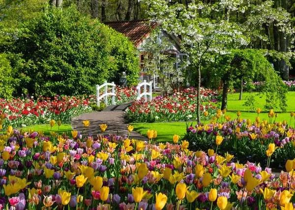 Gyönyörű Kertek - Keukenhof, Hollandia Ravensburger 1000 darabos kirakó puzzle (RA - 12000851 4005555008514) - puzzlegarden