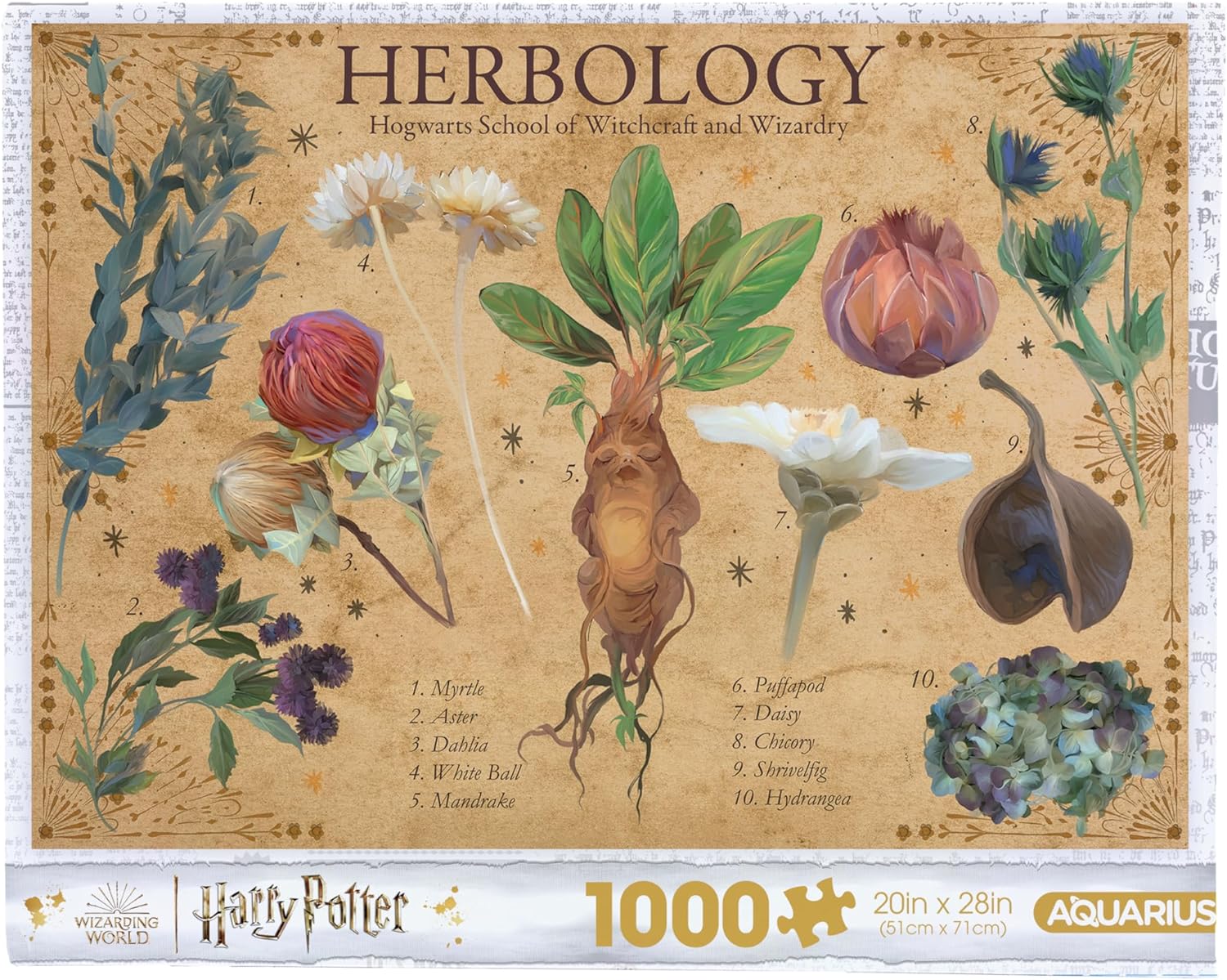 Harry Potter - Gyógynövénytan Aquarius 1000 darabos kirakó puzzle (AQ - 65481 840391175532) - puzzlegarden