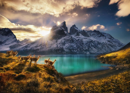 Humboldt - Guanakók HEYE 1000 darabos kirakó puzzle (HE - 29815) - puzzlegarden