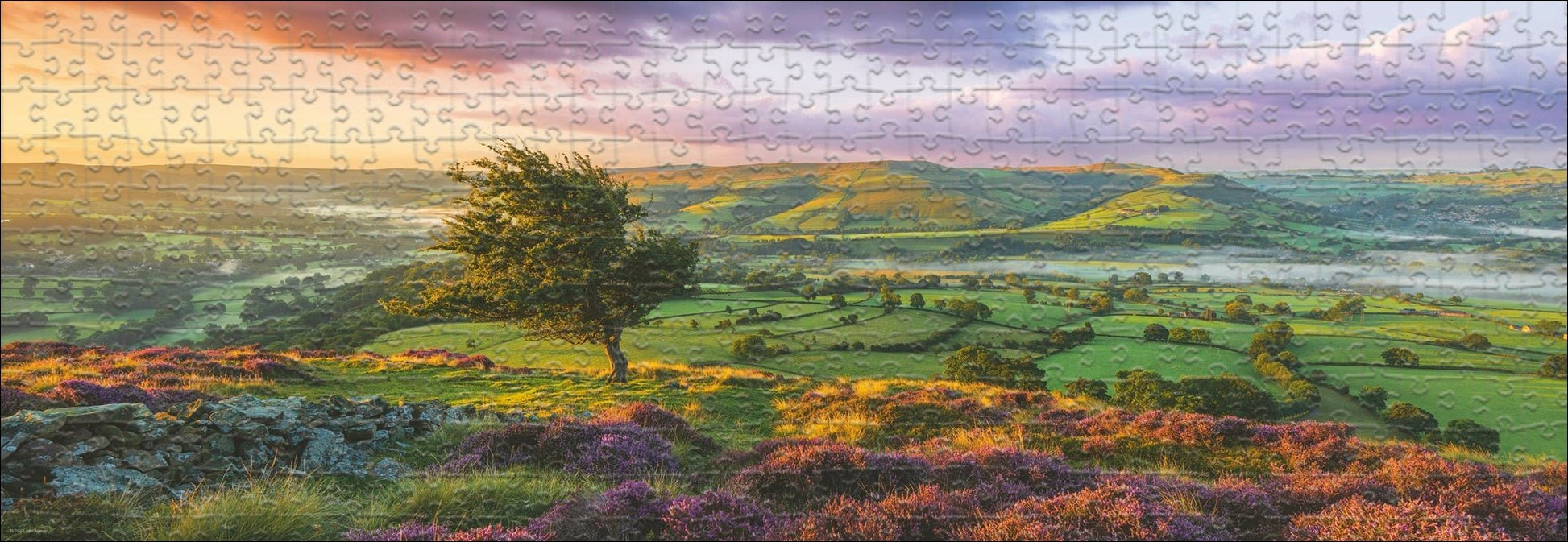 Humboldt - Lila Virágzás - panoráma HEYE 1000 darabos kirakó puzzle (HE-30017 4001689300173) - puzzlegarden