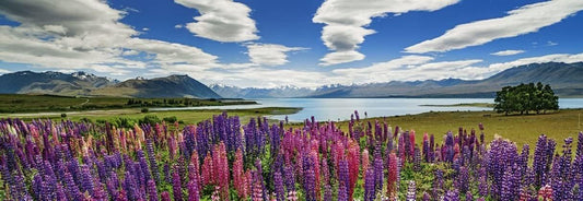 Humboldt - Tekapo - tĂł - panorĂĄma HEYE 1000 darabos kirakĂł puzzle (HE - 29902) - puzzlegarden