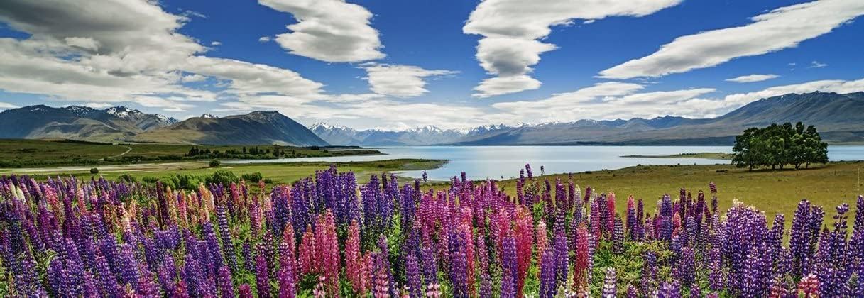 Humboldt - Tekapo-tó - panoráma HEYE 1000 darabos kirakó puzzle (HE-29902 4001689299026) - puzzlegarden