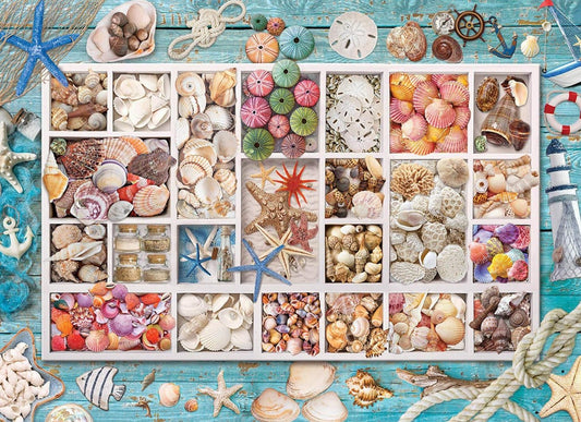 Kagyló Gyüjtemény EuroGraphics 1000 darabos kirakó puzzle (EUR - 6000 - 5529) - puzzlegarden