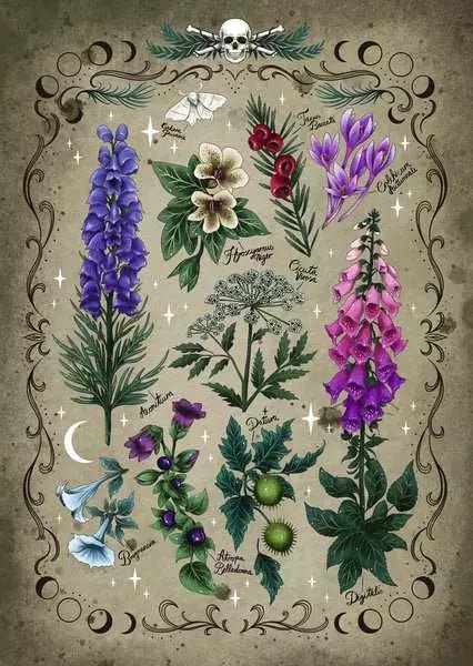 Mérgező növények Ravensburger 1000 darabos kirakó puzzle (RA - 12000781) - puzzlegarden