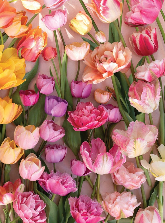 Múló tulipánok Galison 1000 darabos kirakó puzzle (GA-9780735385184) - puzzlegarden