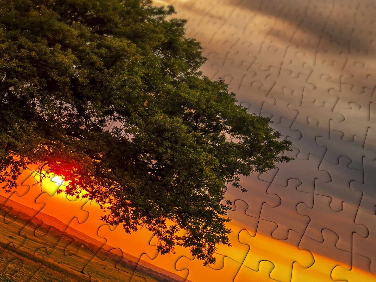 Napfogyatkozás a levelek mögött Enjoy 1000 darabos kirakó puzzle (EN - 2065 5949194020652) - puzzlegarden