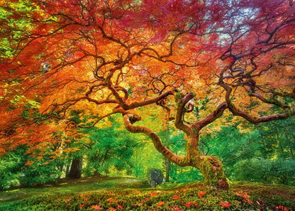 Őszi Lombok CherryPazzi 1000 darabos kirakó puzzle (CP-30530 5903728730530) - puzzlegarden