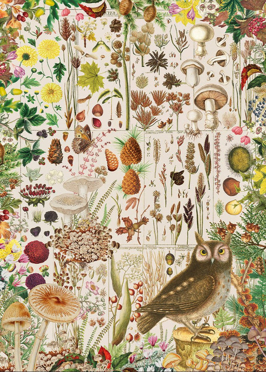 RHS: Őszi flóra Gibsons 1000 darabos kirakó puzzle (G - G7167) - puzzlegarden