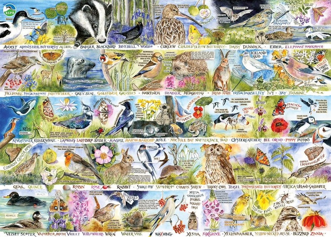 RSPB: Madárdal és kék harangvirág Gibsons 1000 darabos kirakó puzzle (G - G7151) - puzzlegarden