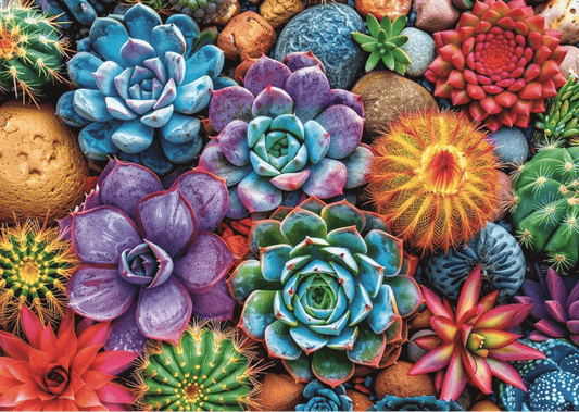 Színes pozsgások Trefl 1000 darabos kirakó puzzle (TR-USA_99307) - puzzlegarden