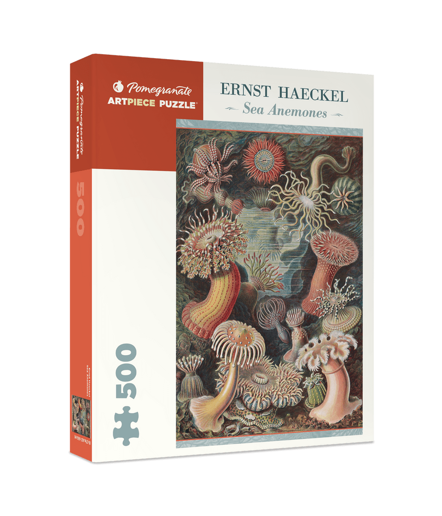 Tengeri anemónák Pomegranate 500 darabos kirakó puzzle (POM-AA993 9780764979491) - puzzlegarden