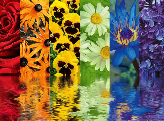Virágos Tükröződések Ravensburger 500 darabos kirakó puzzle (RA - 16446) - puzzlegarden