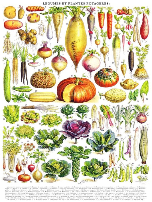 Zöldségek New York Puzzle Company 1000 darabos kirakó puzzle (NYPC - PD635) - puzzlegarden